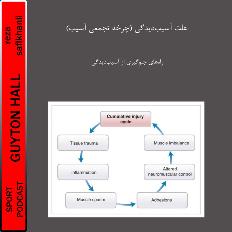 علت آسیب‌دیدگی (چرخه تجمعی آسیب)