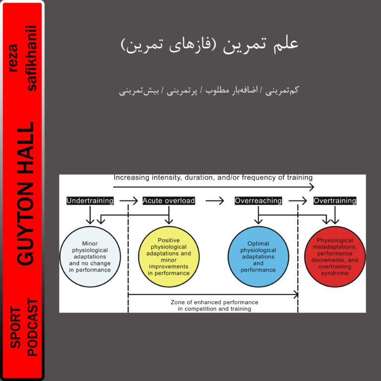 علم تمرین(فازهای تمرین)