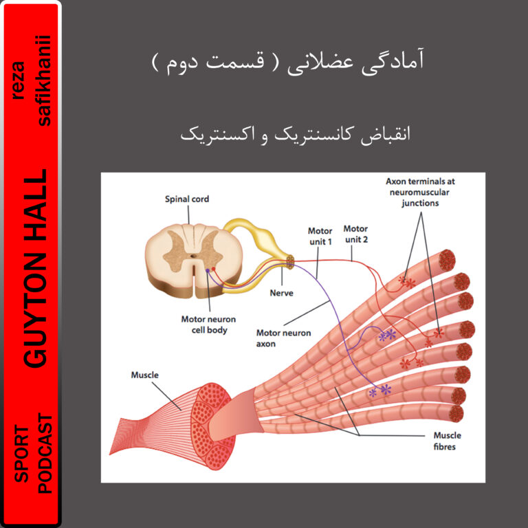آمادگی عضلانی 2